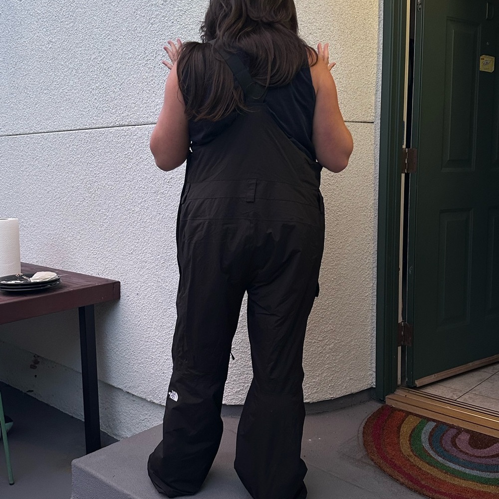 The North Face Women’s Freedom Insulated Bib - Picture 8 of 8